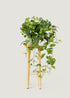 Real Touch Pothos Plant 