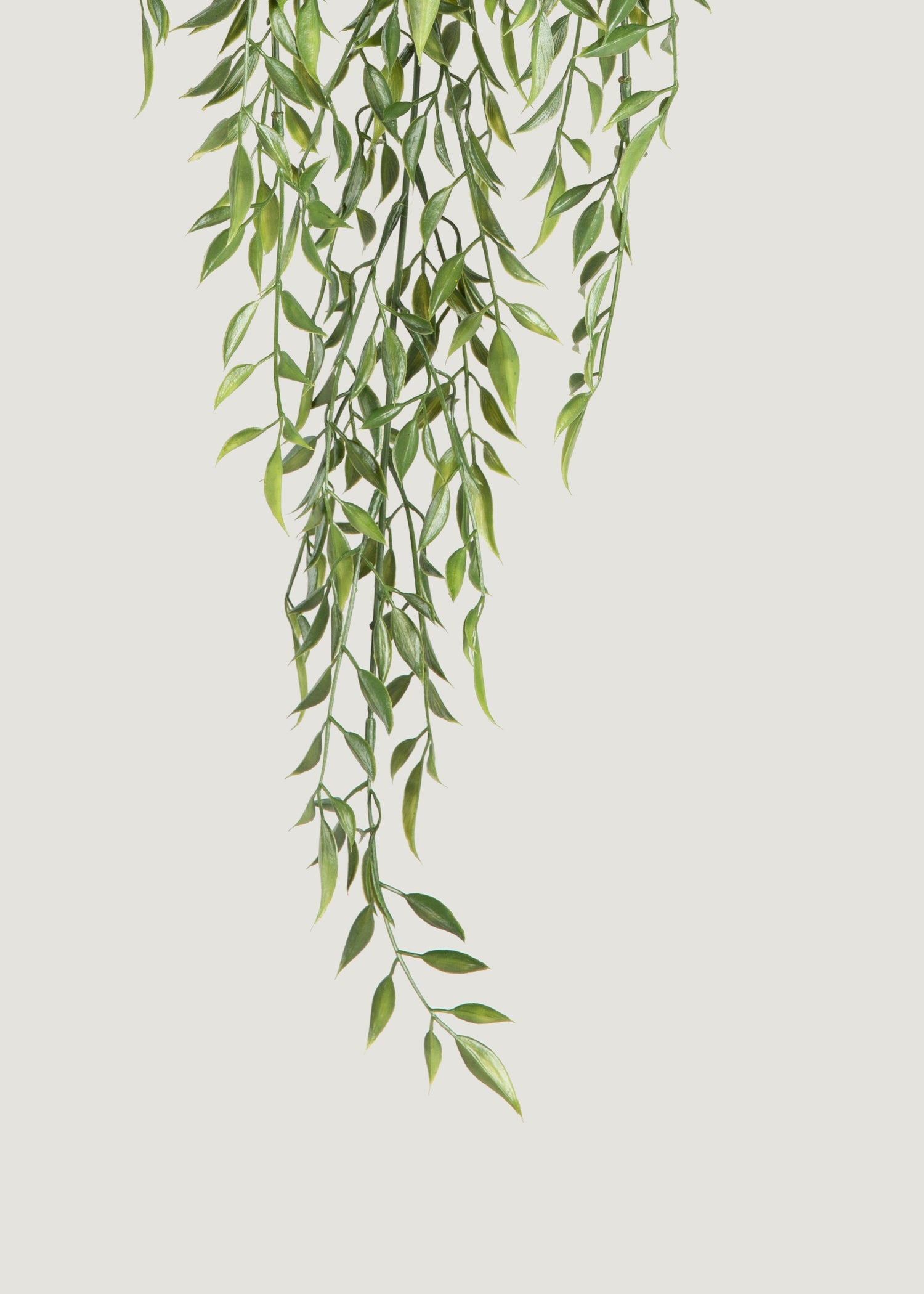 Faux Ruscus Leaves