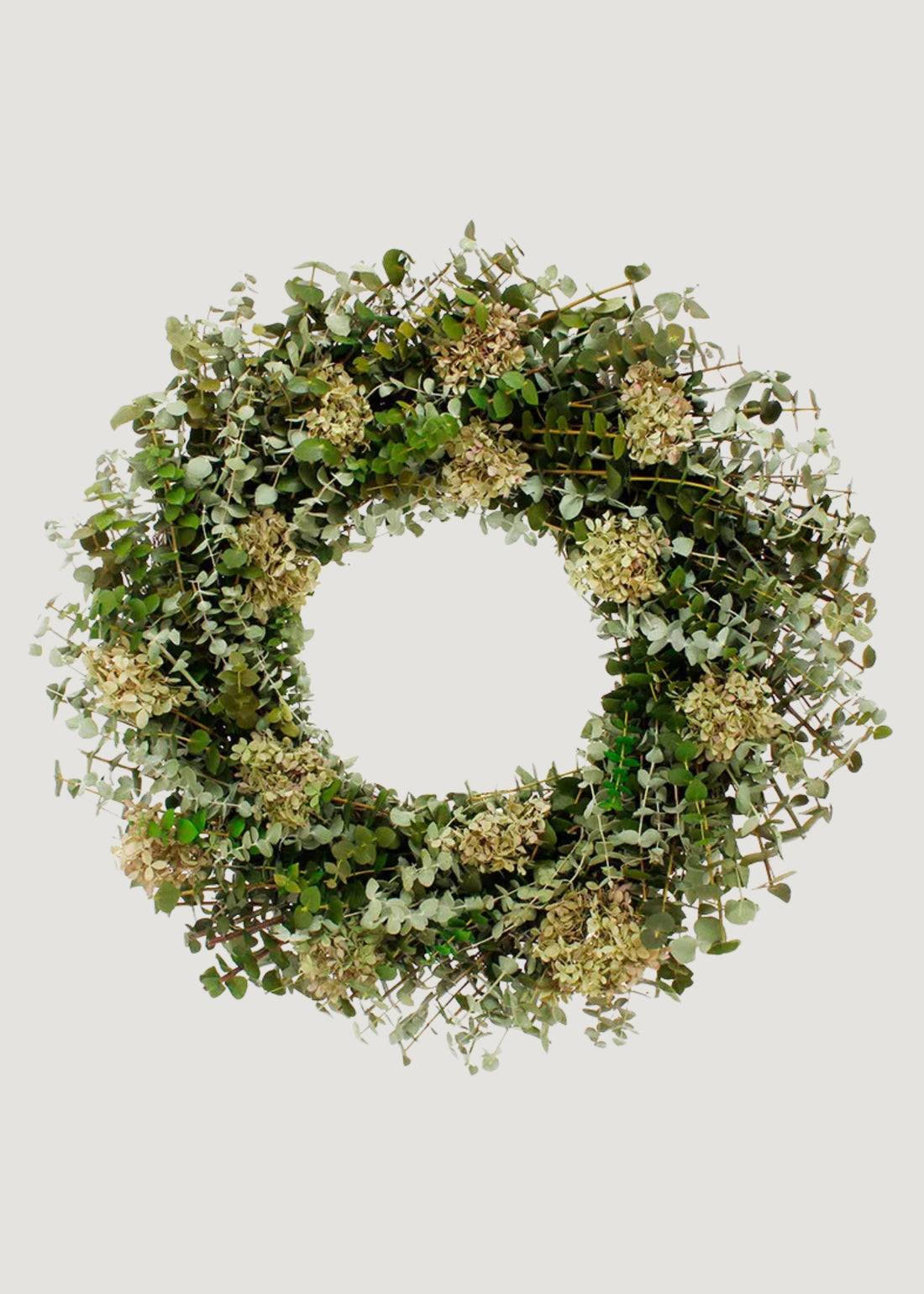 Mixed Green Preserved Eucalyptus and Hydrangea Wreath