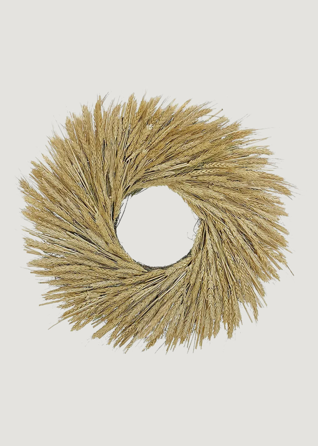 Natural Dried Bearded Wheat Wreath