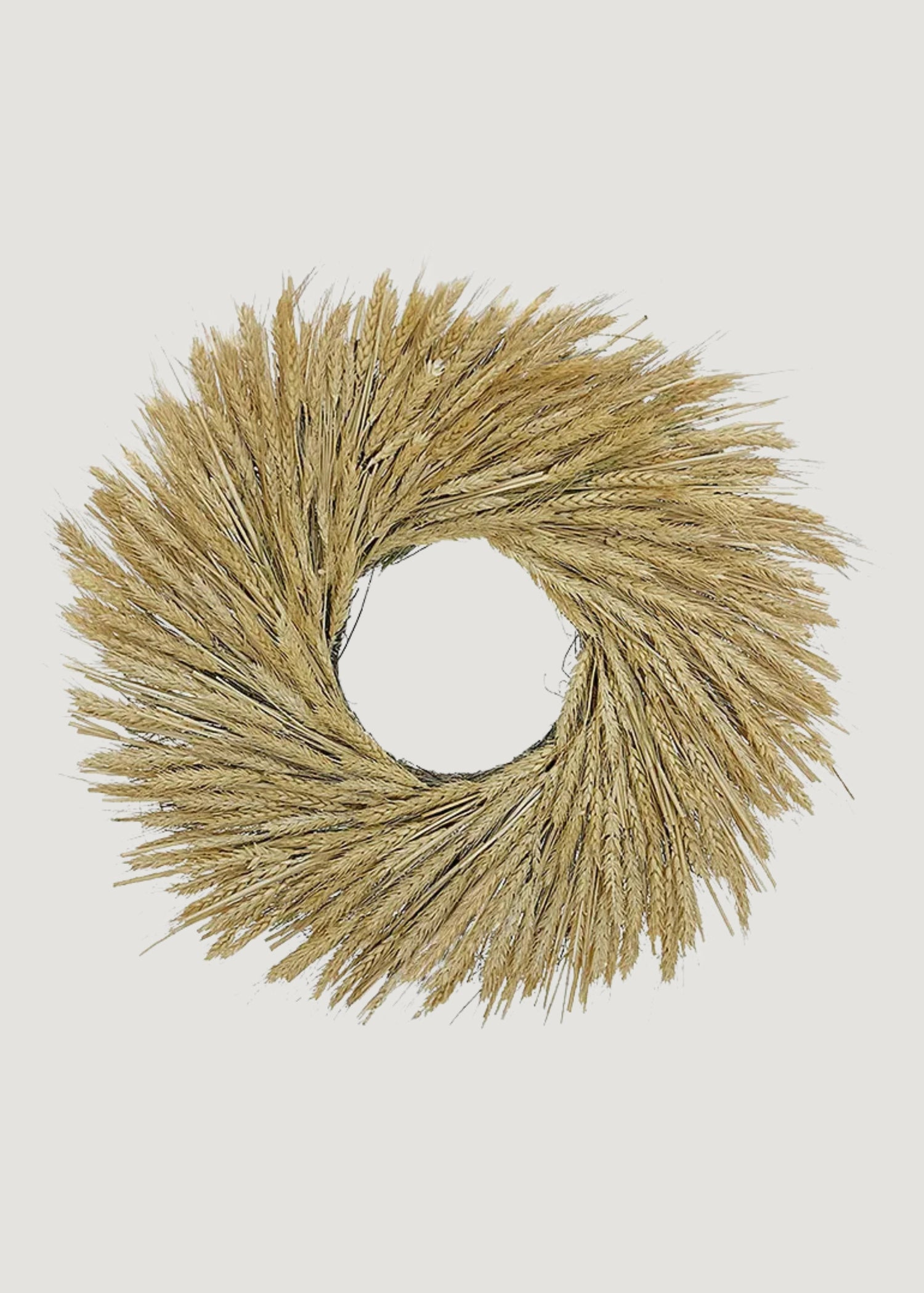 Natural Dried Bearded Wheat Wreath