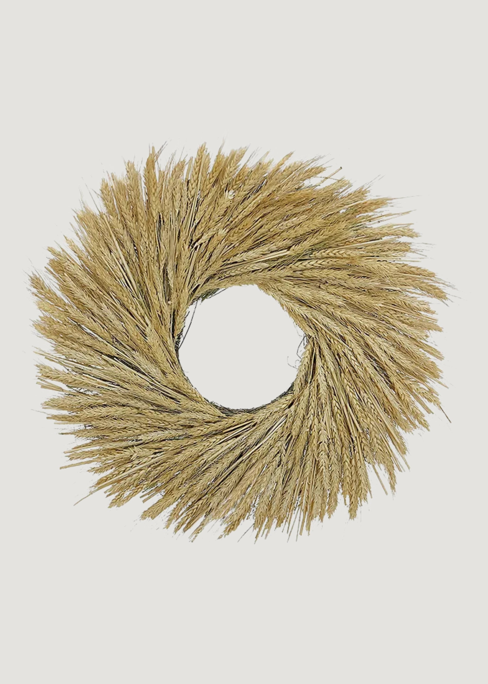 Natural Dried Bearded Wheat Wreath