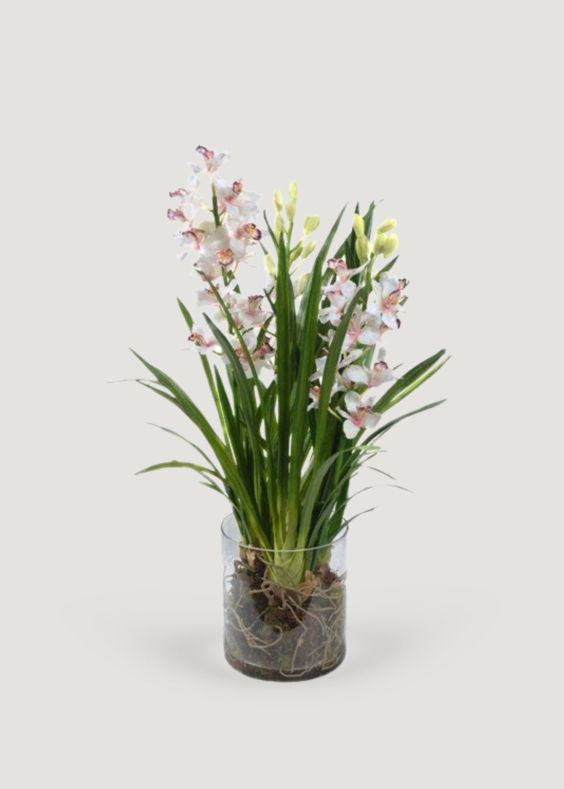 Faux Cymbidium Orchid in Glass Vase