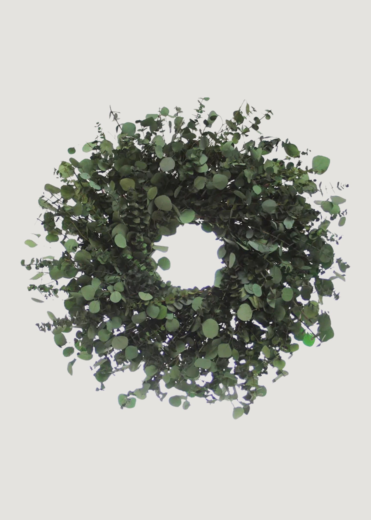 Preserved Eucalyptus and Silver Dollar Greenery Wreath -