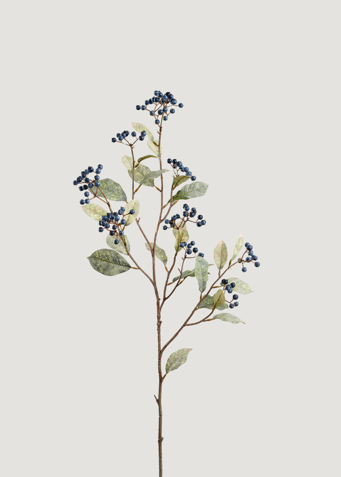 Berry Branch in Blue