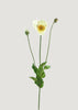 Faux Poppy Flower in Cream White