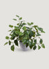 Artificial Philodendron Potted Plant