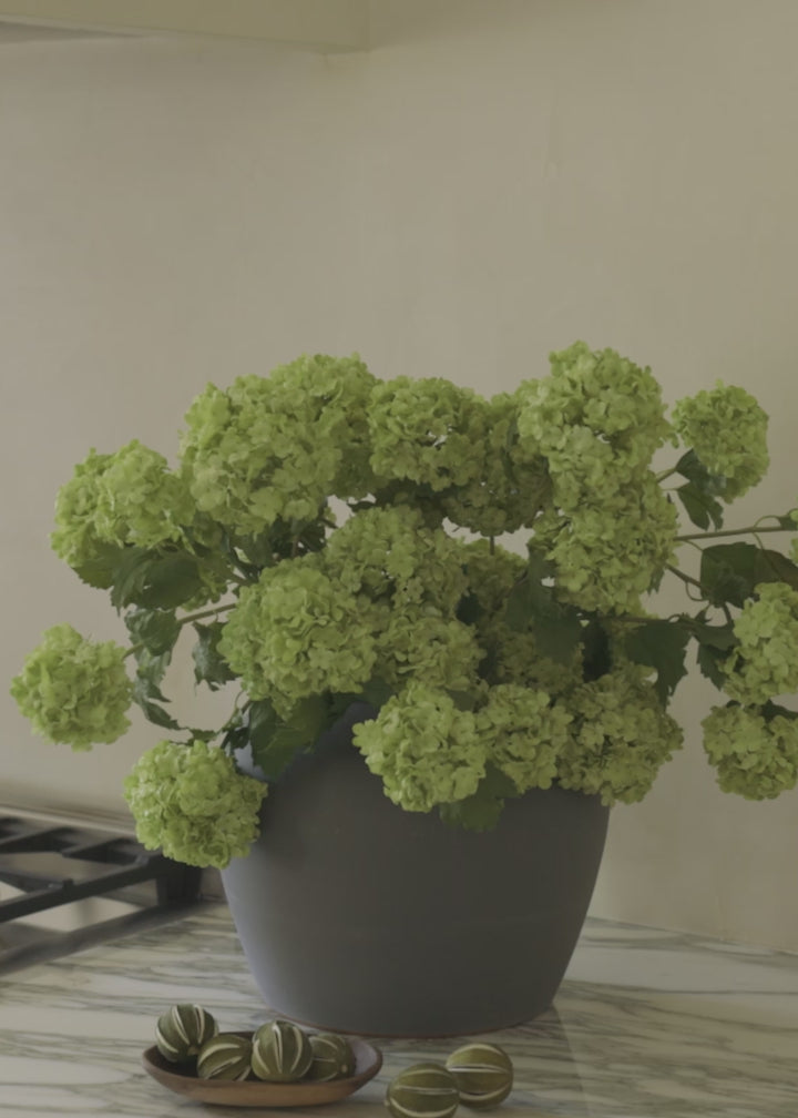 Green artificial flowers in shop vase