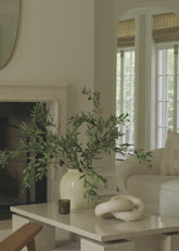Artificial Olive Branches in Interior Styling Video