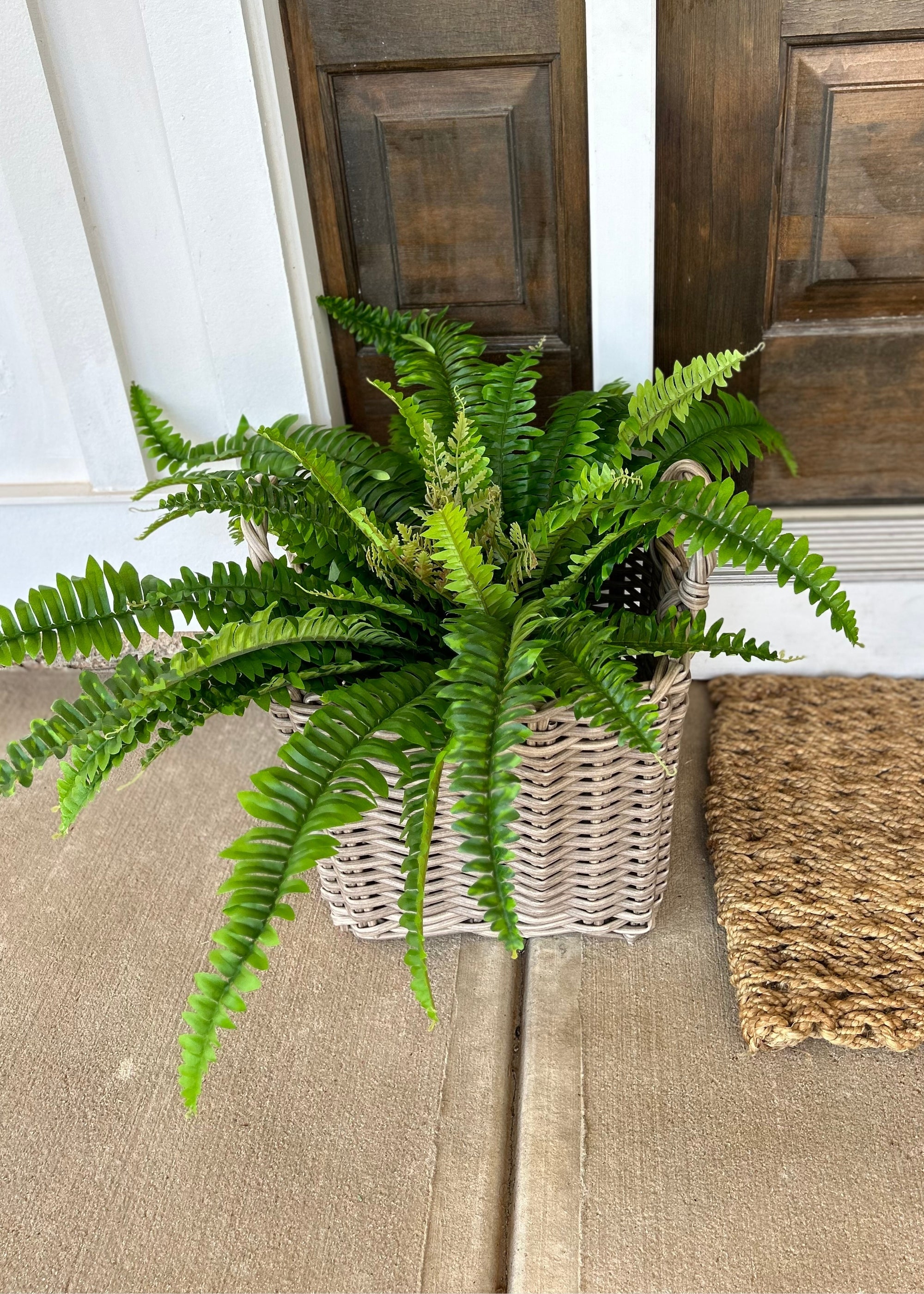 Artificial Ferns Covered Outdoor Porch