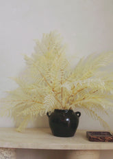 Vase Styling with Bleached White Dried Ferns in Video