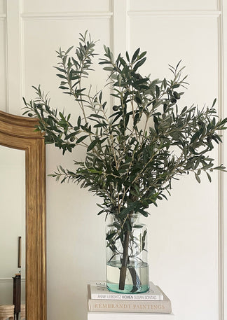 Olive Branch in Glass Vase | Shop Faux Olive Branches at Afloral.com