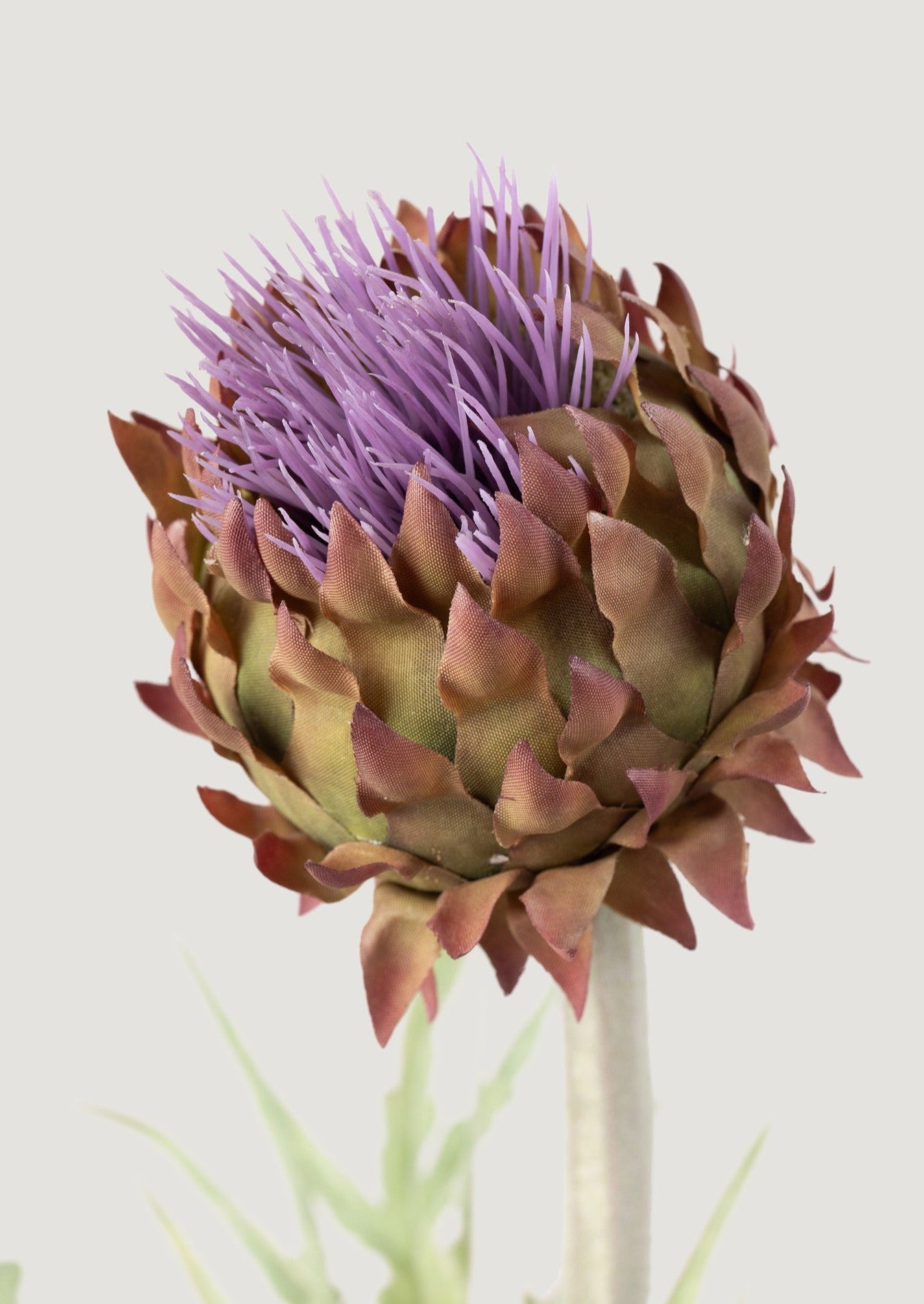 close-up of artificial thistle