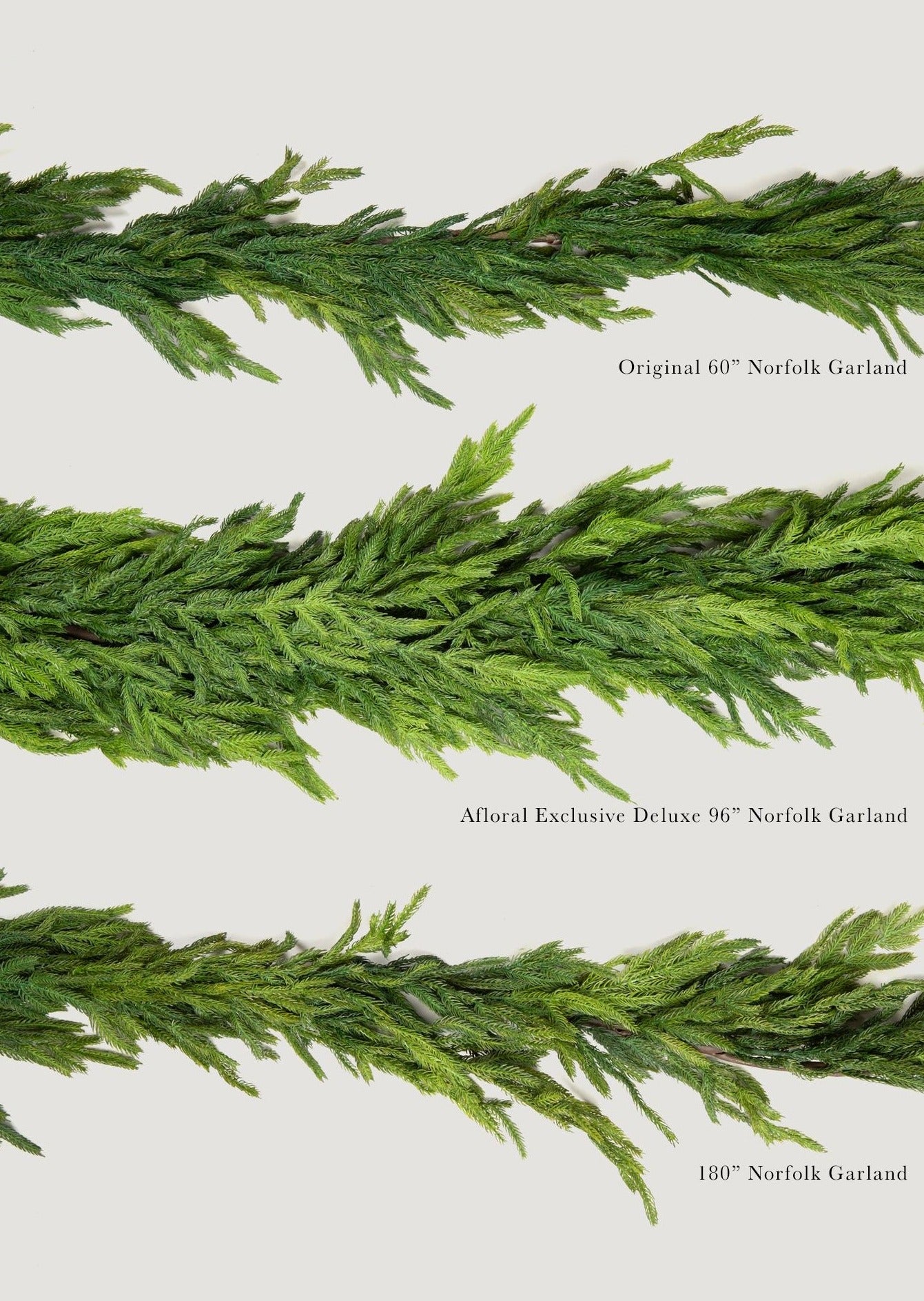 Comparison of Three Norfolk Garlands