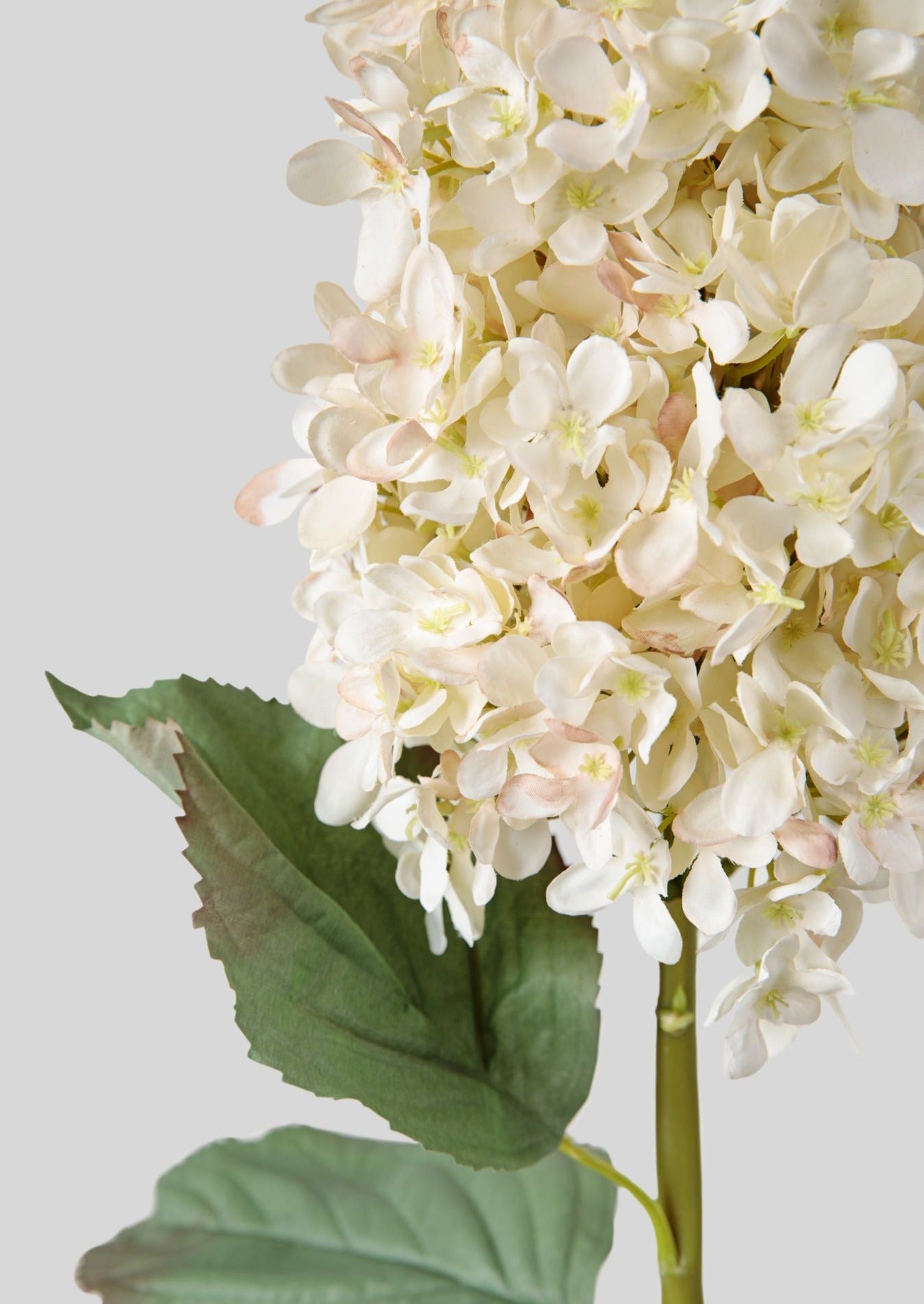 Artificial Tall Cone Hydrangea Stem in Parchment Beige at Afloral
