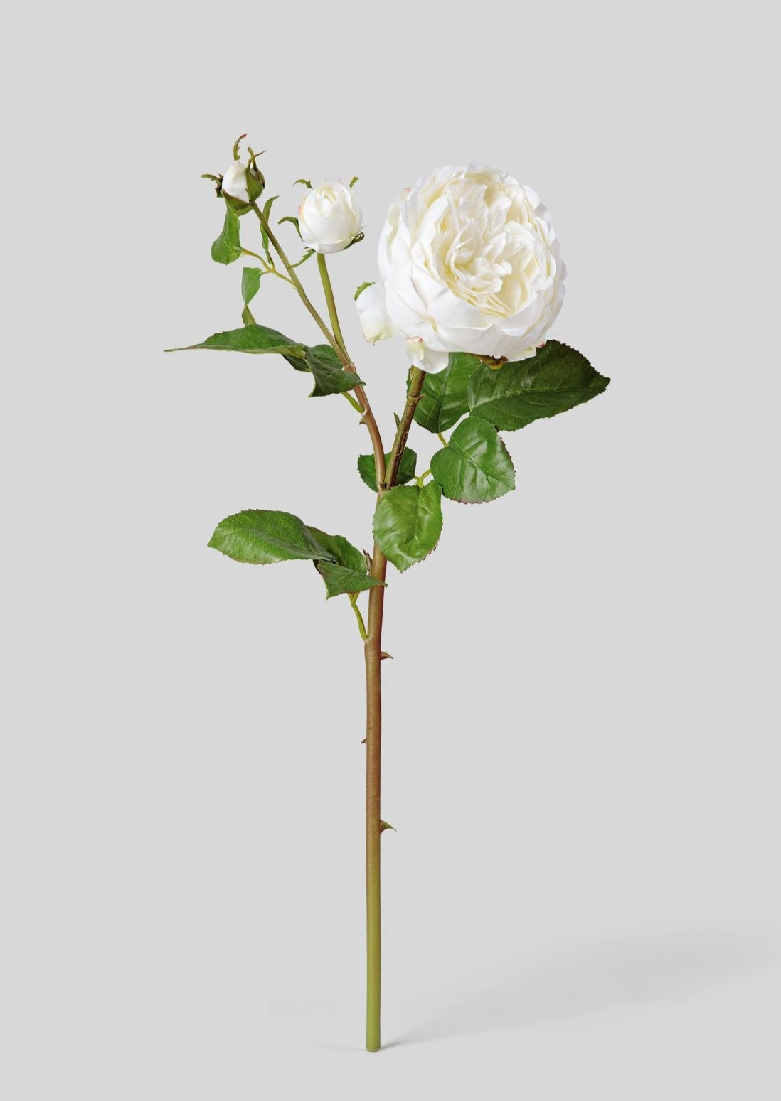 Luxe Faux Flowers Real Touch Cream English Rose and Bud Stem