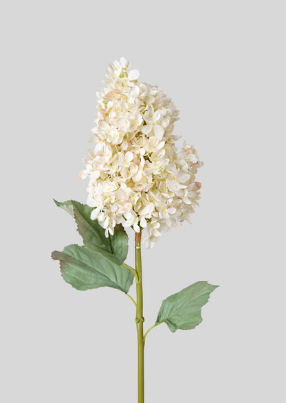 Premium Faux Flowers Afloral Cone Hydrangea Stem in Parchment