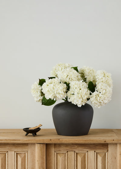 shop for online white hydrangeas 