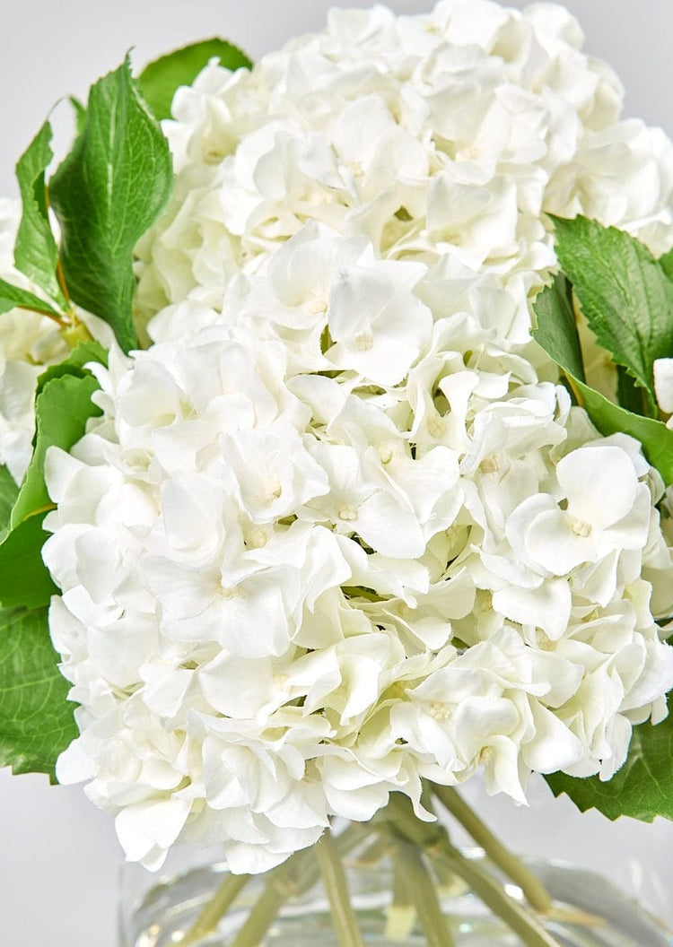 White Hydrangea in Glass Vase | Faux Flower Arrangements | Afloral.com