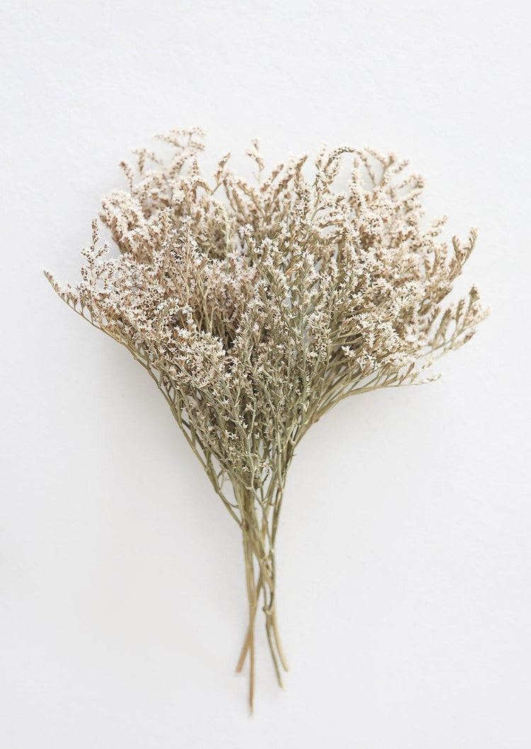 Natural Dried Flowers & Preserved Grasses at Afloral.com