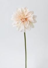 Blush Peach Dahlia Silk Flower at Afloral