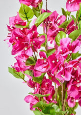 Close Up of Fuchsia Pink Faux Bougainvillea Bush