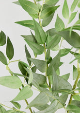 Artificial Green Italian Ruscus Leaves at afloral