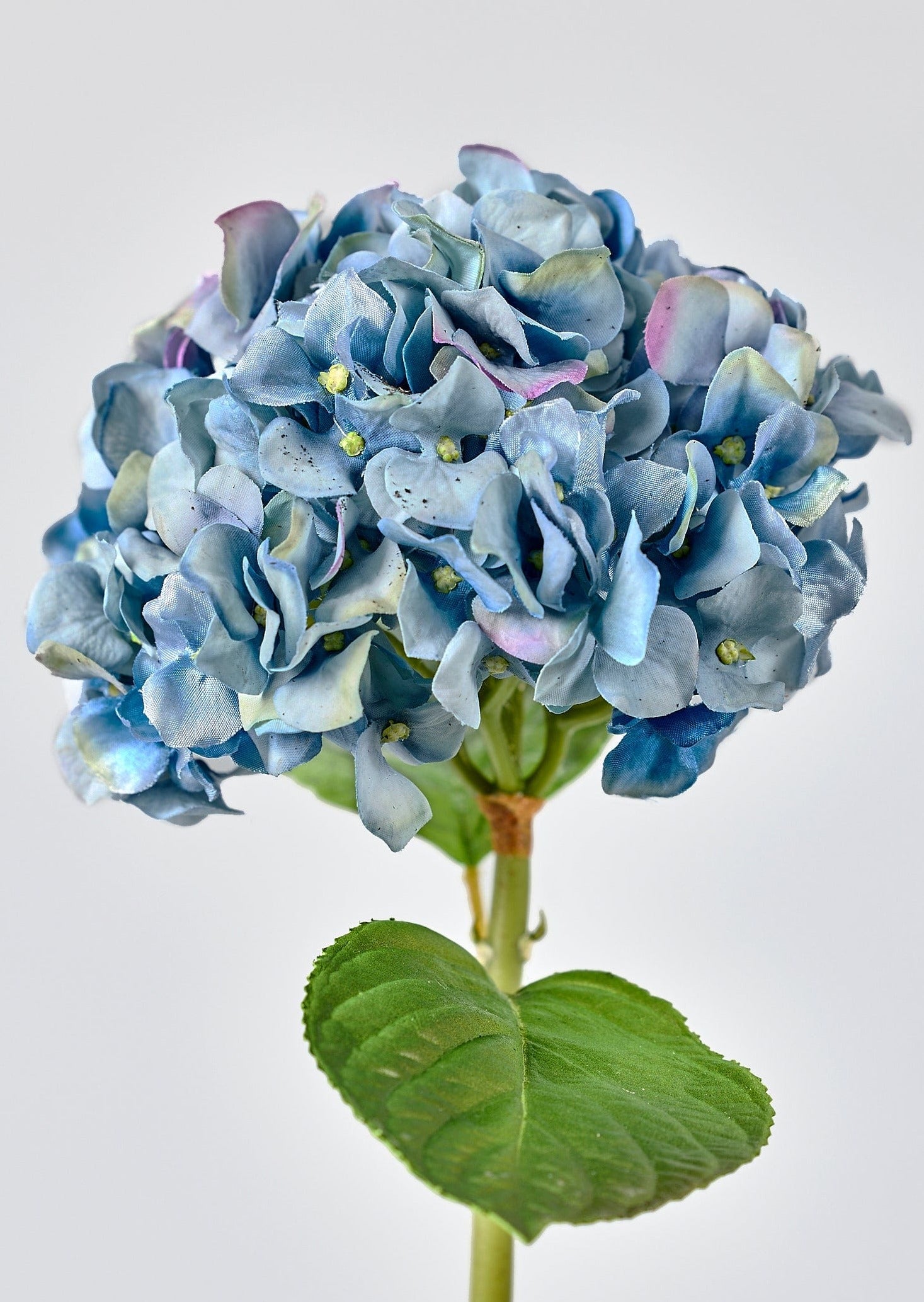 fleur ami  Hortensia - Planta artificial Hortensia, 62 cm, azul