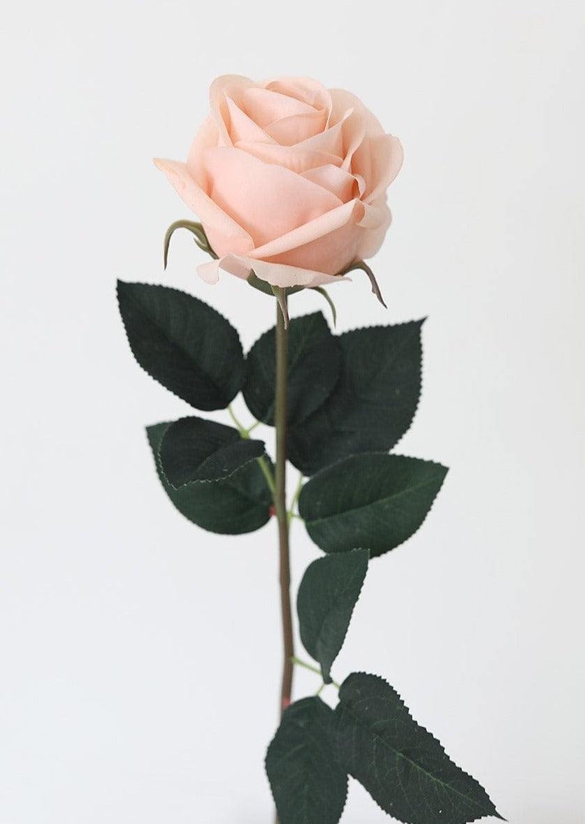 Real Touch Rose Bud Ivory 55cm