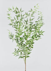 Large Italian Ruscus Spray | Best Artificial Leaves at Afloral.com