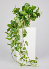 Natural Touch Faux Pothos Hanging Plant from afloral