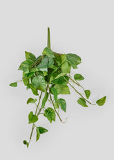 Premium Artificial Hanging Plants Pothos at Afloral