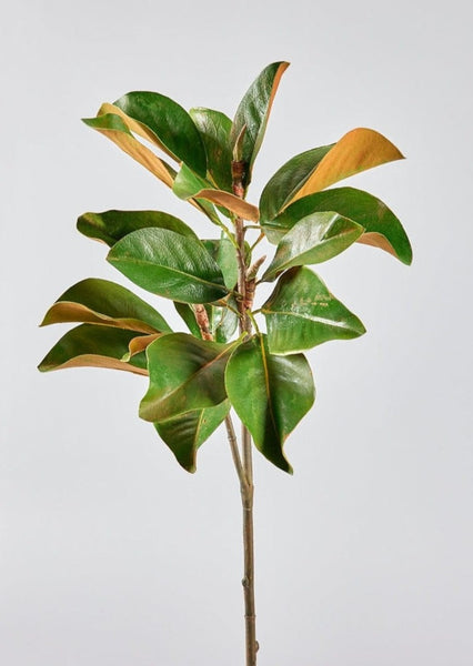 Faux Magnolia Leaf Branch - 41