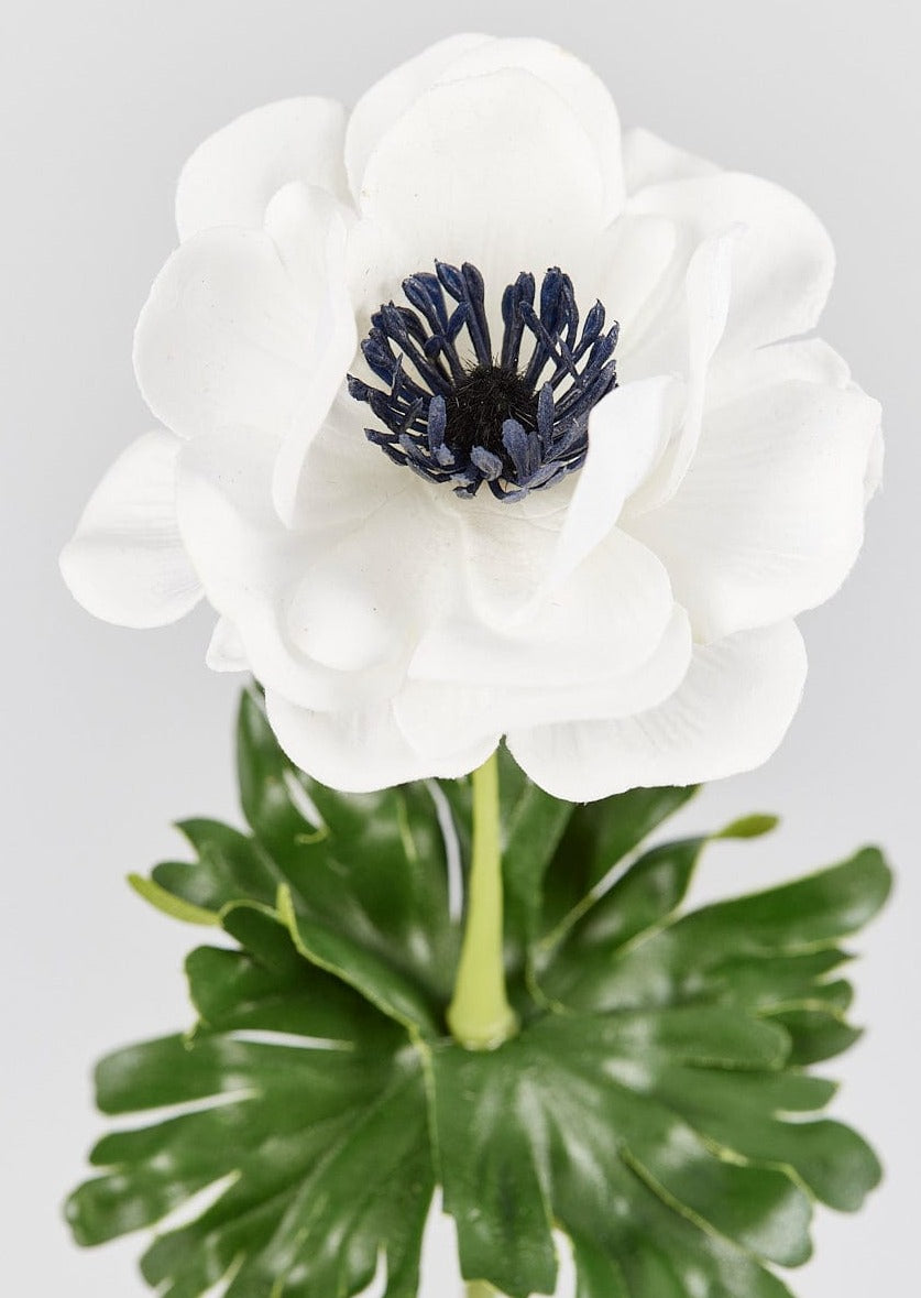 white anemone arrangements