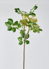 Premium Faux Greenery in the Afloral Privet Seeded Branch 